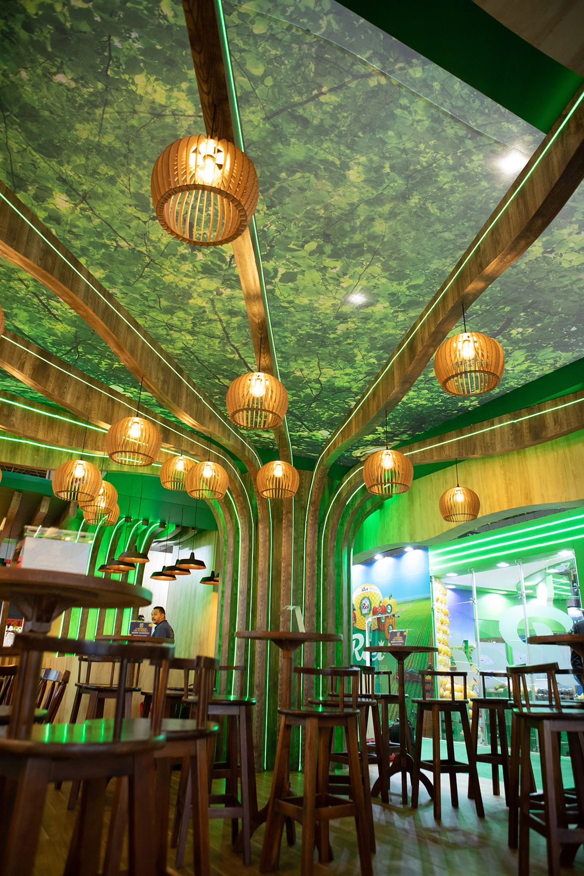 IFPA THE BRAZIL CONFERENCE 2024